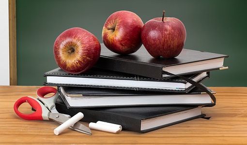 Le succès des filières courtes professionnalisantes post bac Le succès des filières courtes professionnalisantes post bac
